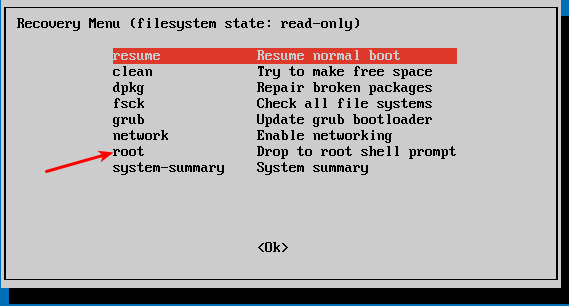 Terminal showing password reset process